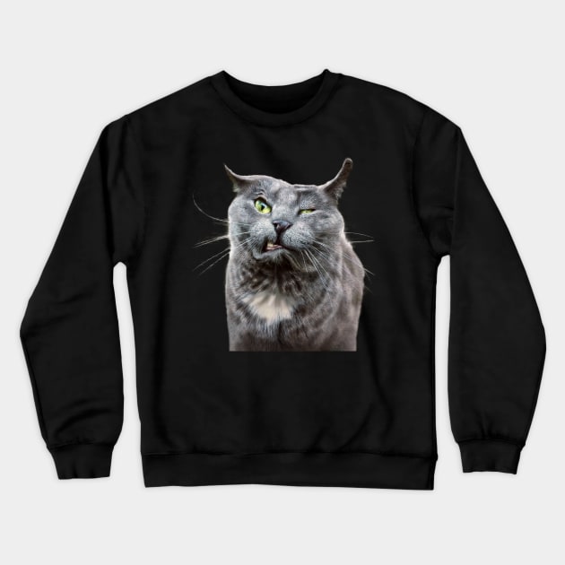 Angry Grey Cat Selfie Crewneck Sweatshirt by Random Galaxy